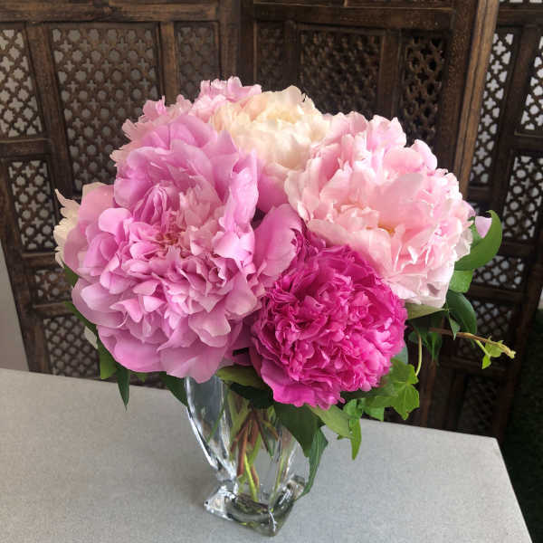 PEONY LOVE