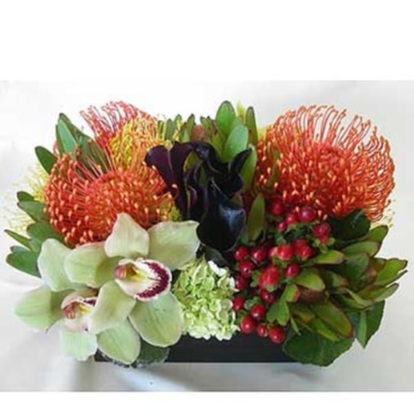 Arrangement with orange pincushion blooms, white orchids, and dark calla lilies in a black container