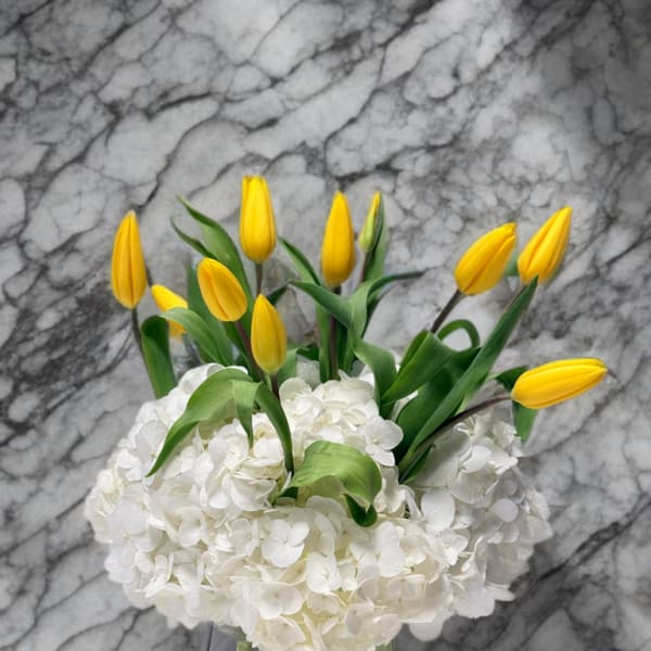 Golden Spring Harmony