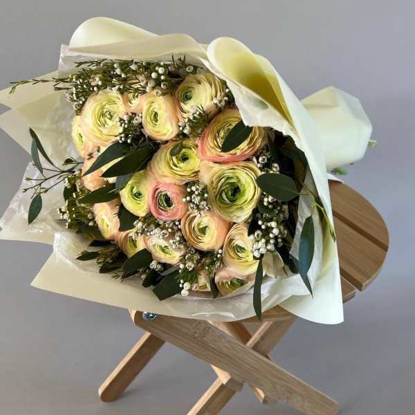 #05 Apricot Serenade