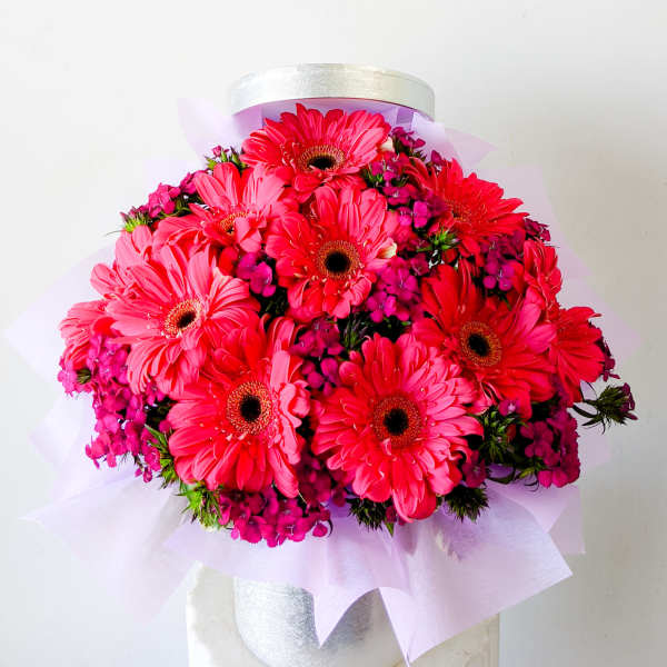 Bright pink gerbera daisy bouquet wrapped in pale lavender paper