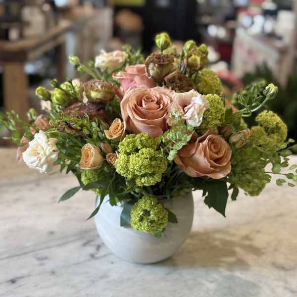 Urban Gardener Mocha Mousse