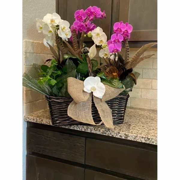 Basket of white and pink orchids with a burlap bow on a kitchen countertop