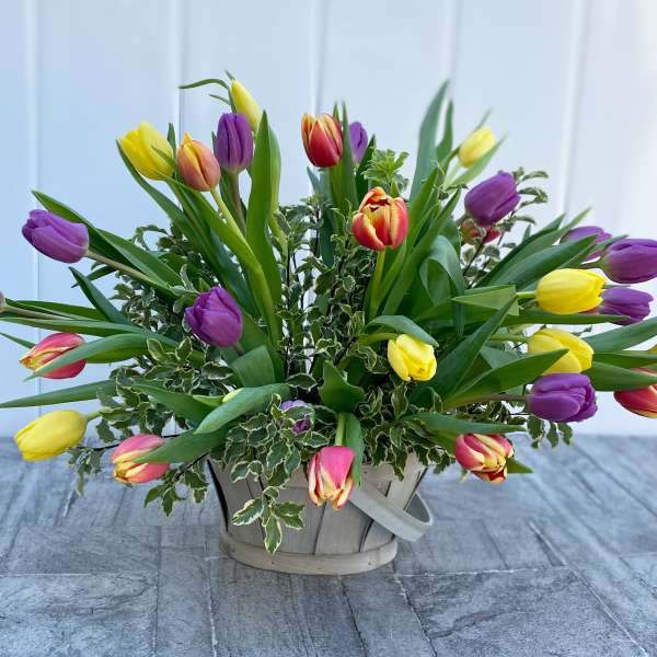 Basket arrangement of multicolored tulips with variegated foliage