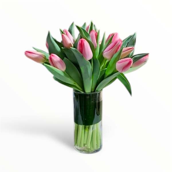 Pink tulips arranged in a clear glass vase