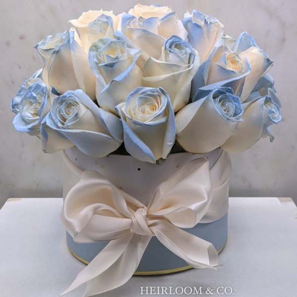 White roses with pale blue edges arranged in a round box with a satin bow.