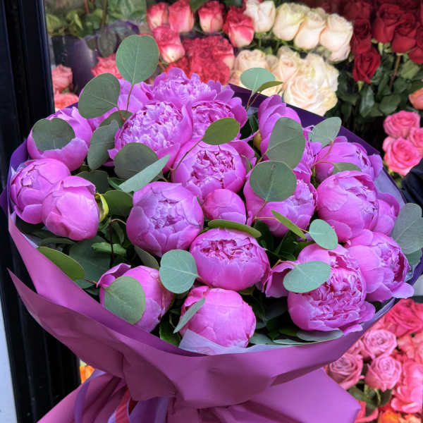 Pink peony bouquet wrapped in magenta paper with eucalyptus