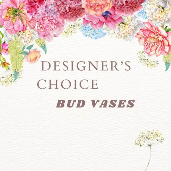 Floral border with text reading Designer's Choice Bud Vases