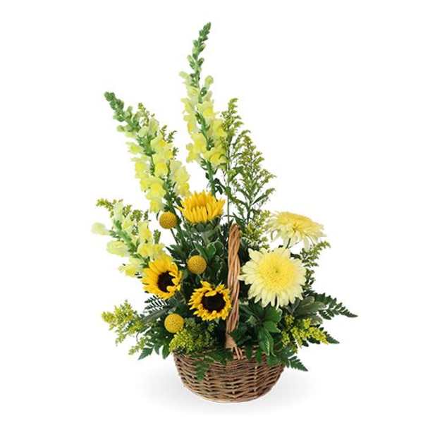Basket arrangement with yellow flowers and sunflowers