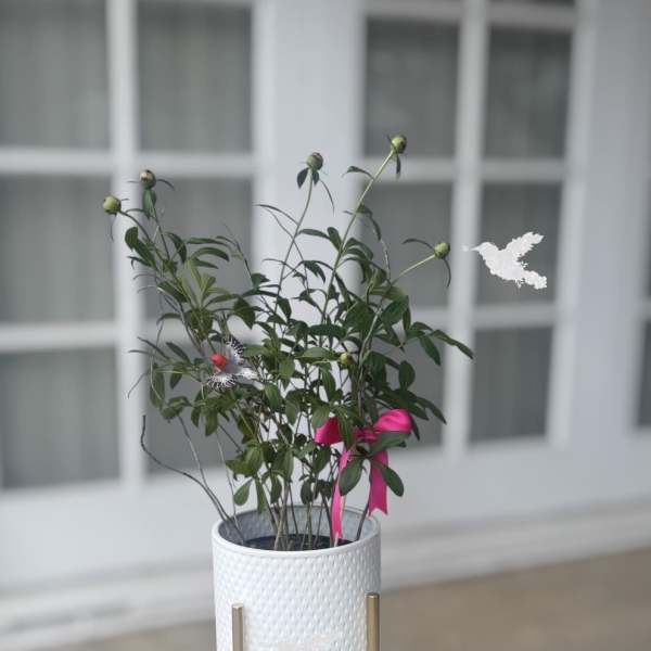 Pink Peony Plant Luxury Planter – Mother’s Day Flower Delivery - Fullerton