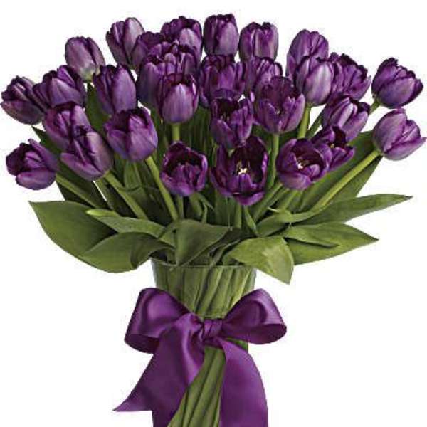 Bunch of purple tulips arranged in a clear glass vase with a purple ribbon bow