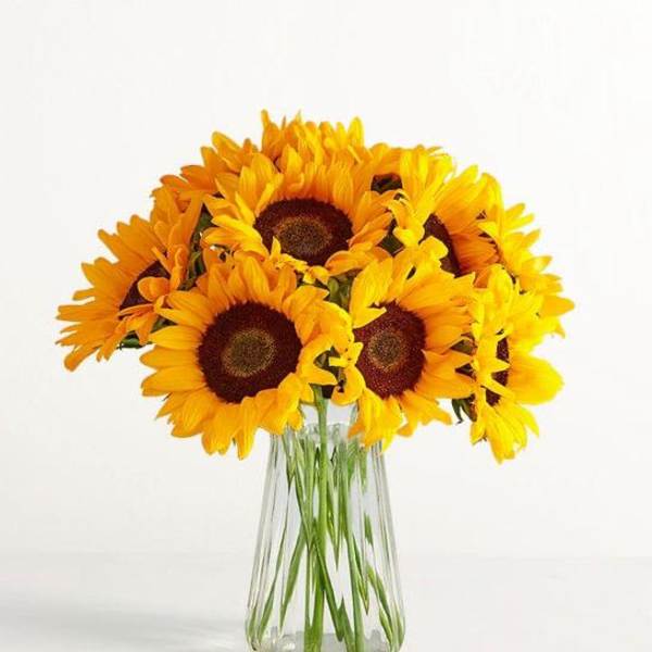 The Sun Will Come Out