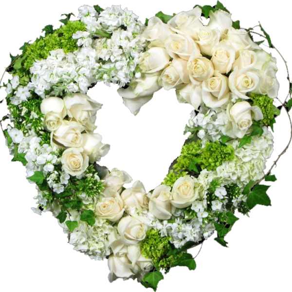 Elizabeth Open Heart