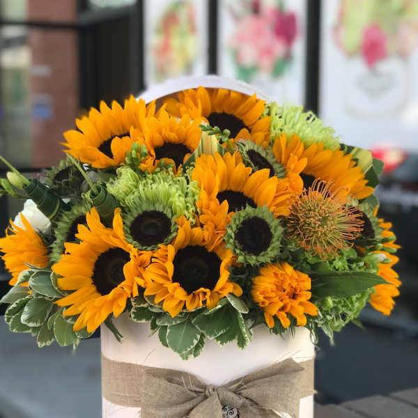 Sunflower bouquet in a white hatbox with a burlap bow