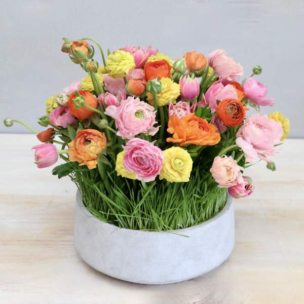 Mixed pink, orange, and yellow flowers in a round white container