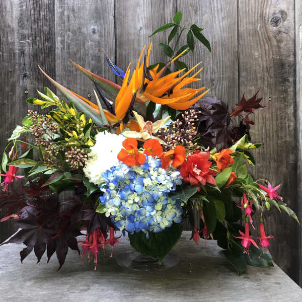 Tropical flower arrangement with orange bird-of-paradise and blue hydrangeas in a vase