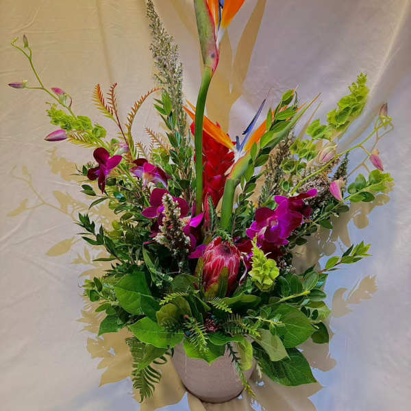 Tropical flower arrangement with bird of paradise and orchids in a pot