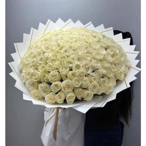 Large bouquet of cream roses wrapped in white paper