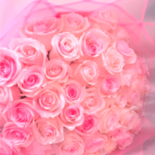 Blush Dreams Rose Bouquet