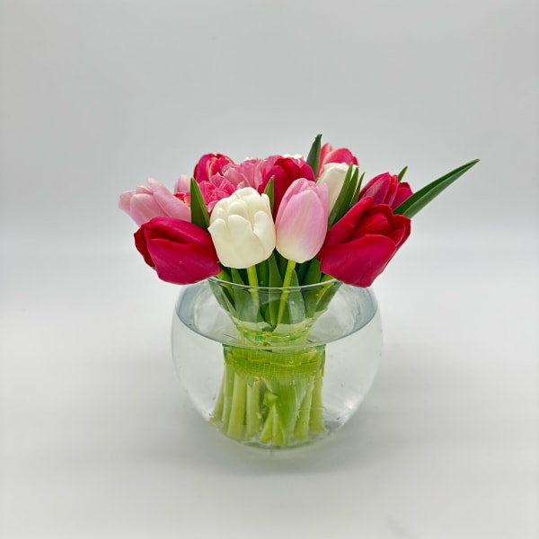Pink, red, and white tulips arranged in a clear glass vase