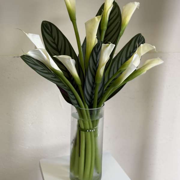 White calla lilies in a clear glass vase with dark patterned leaves.