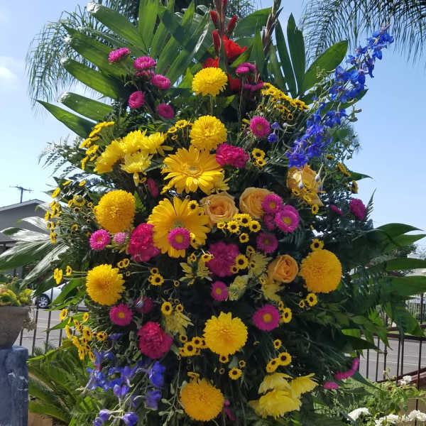 You will always Shine