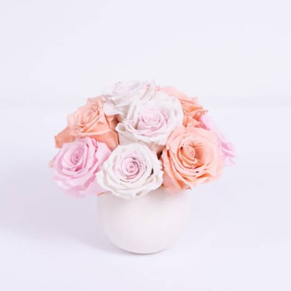 Mixed Preserved Roses - Lasts a full year