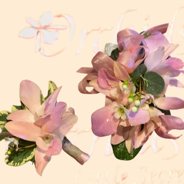 Two pink orchid corsages with ribbon and greenery