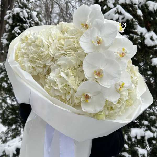 White hydrangea and orchid bouquet wrapped in white paper