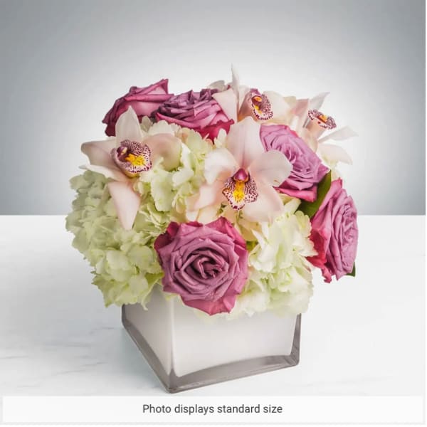 Pop of Lavender by BloomNation™