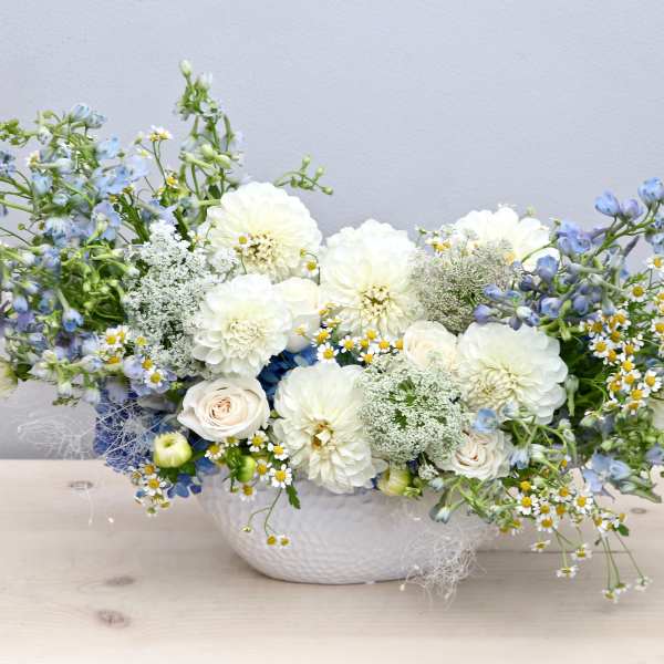 Low white ceramic vase with white dahlias, pale roses, blue delphinium, and small white daisies in an airy arrangement