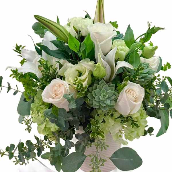 White roses and lilies arranged with green succulents in a vase