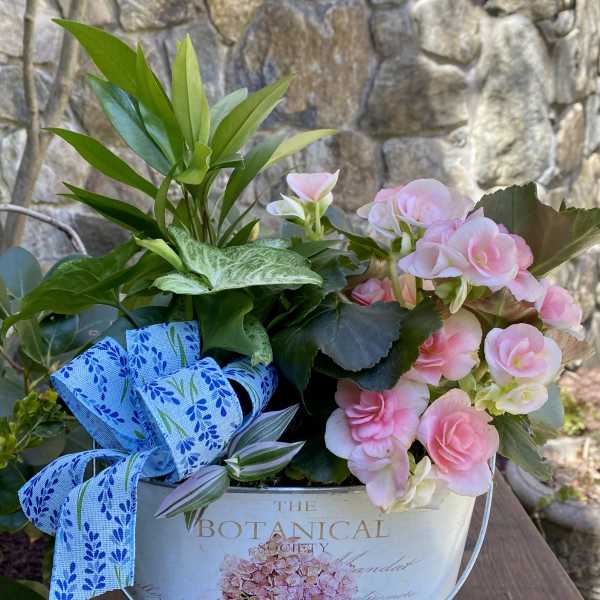 Pink flowers in a decorative metal bucket with a blue ribbon