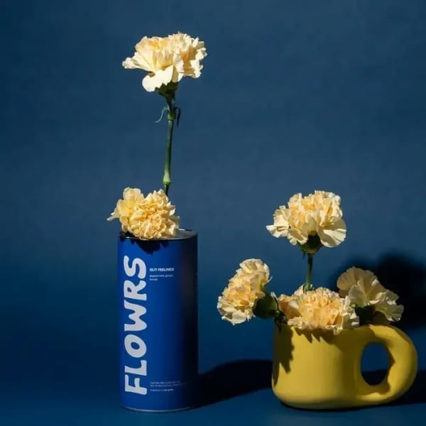 FLOWRS TEA: Gut Feelings