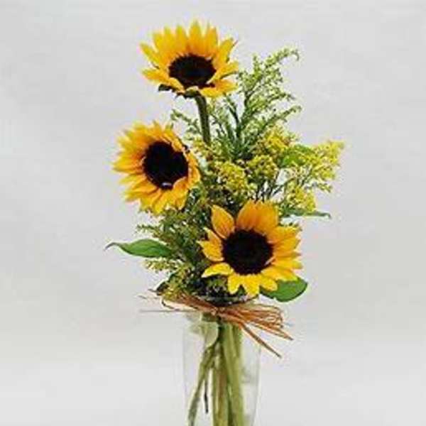 Sunflower arrangement in a clear glass vase with a raffia bow