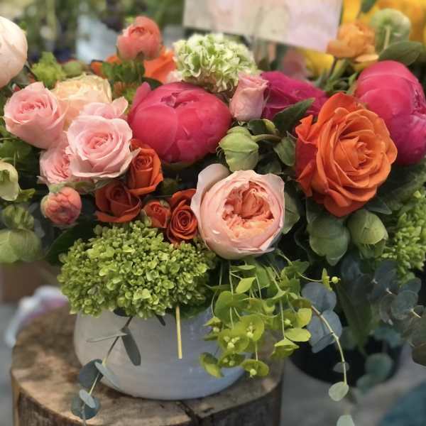 Low bowl arrangement of pink and orange roses and peonies with green hydrangea and trailing foliage