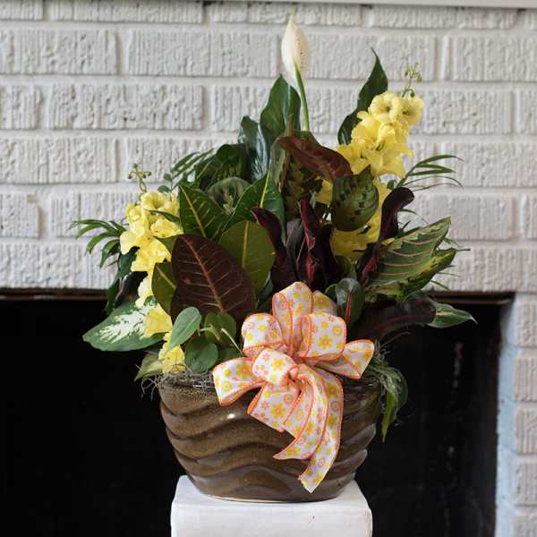 Tropical plant arrangement in a brown ceramic pot with a patterned bow