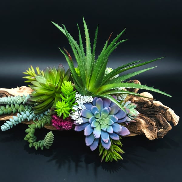 Permanent Succulent Planter