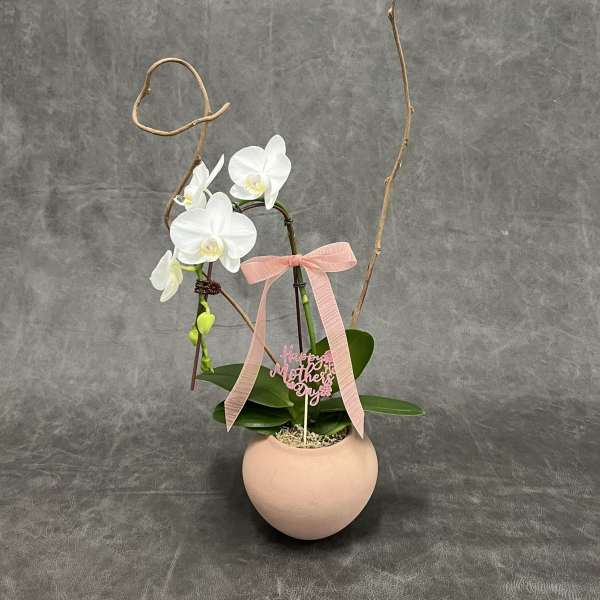 Mother's Day Artistic Zen Orchid Design