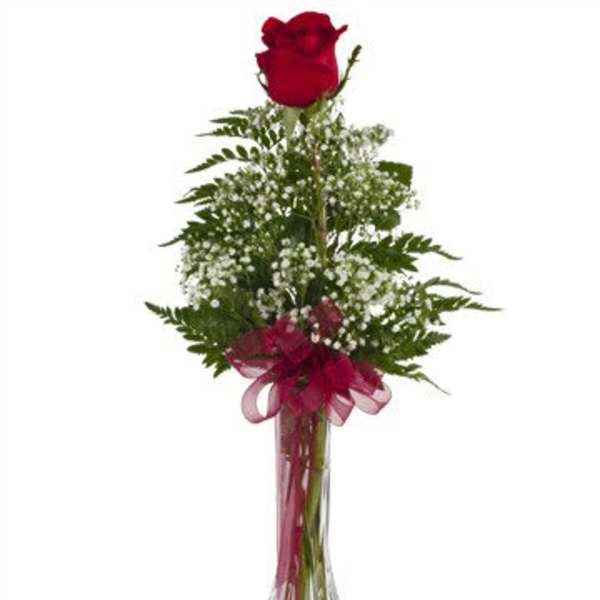 Single red rose in a clear glass vase with a pink ribbon
