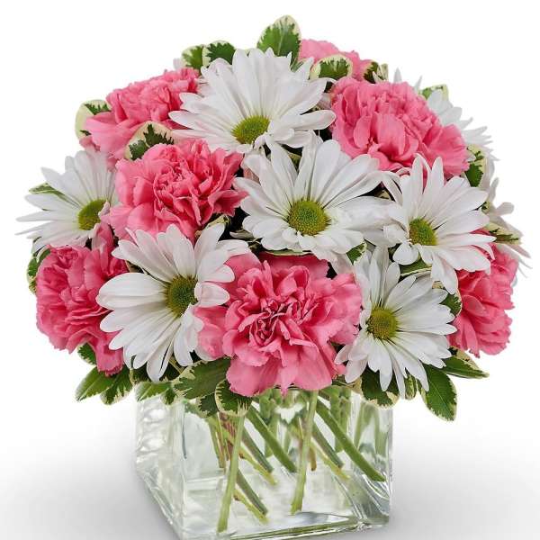 Pink carnations and white daisies arranged in a clear square vase
