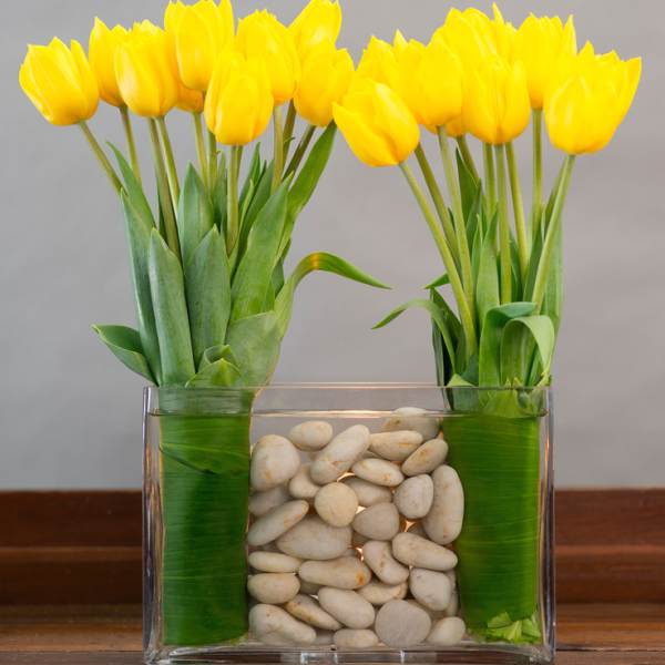 Yellow tulips in a clear rectangular vase with white stones