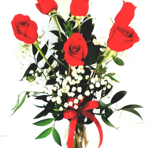 XOXOXO ( other colors available)