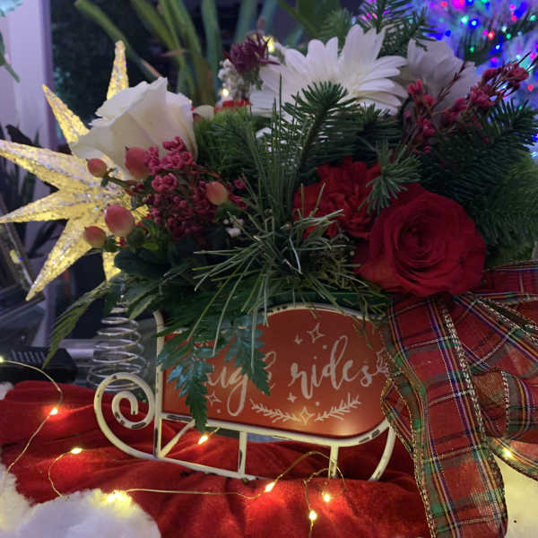 Christmas floral arrangement with red and white flowers in a sleigh planter