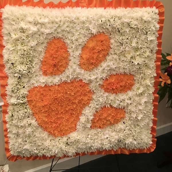 Square floral display with orange paw prints on a white chrysanthemum background