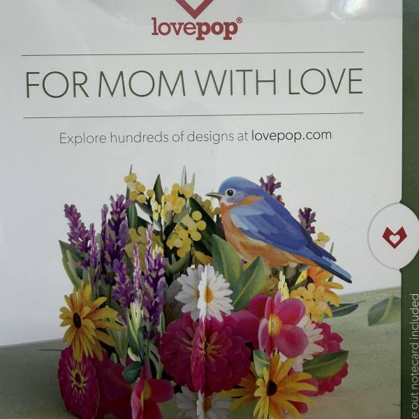 **CARDS MUST BE PURCHASED WITH FLOWERS/PLANT** LOVE POP CARDS