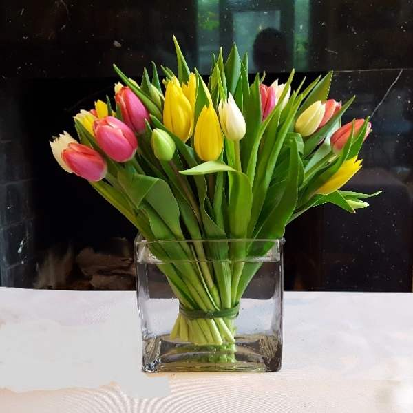 Bouquet of multicolored tulips in a clear square vase