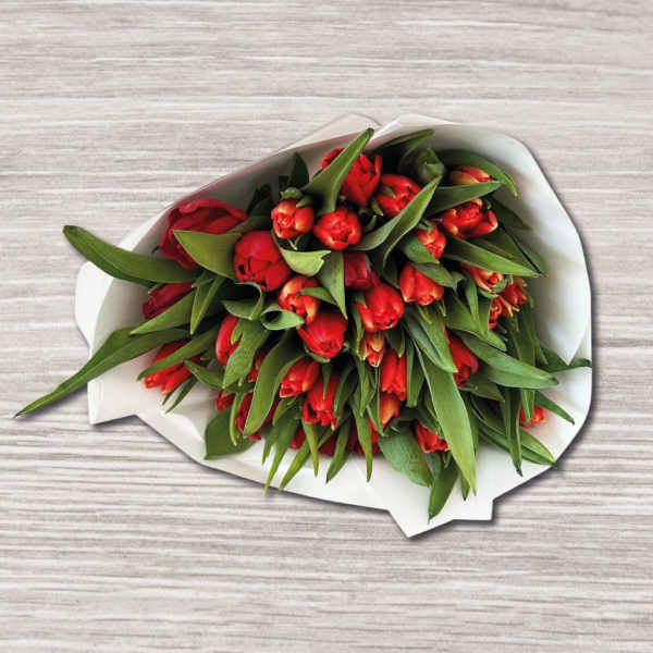 Bouquet of red tulips wrapped in white paper