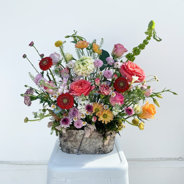 Garden in Bloom (Designer's Choice)