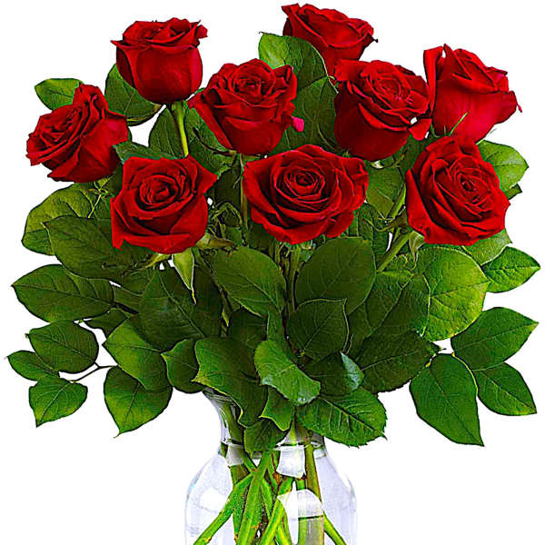 Bouquet of red roses in a clear glass vase